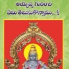 అయ్యప్ప గురించి ఏమి తెలుసుకున్నాము....?